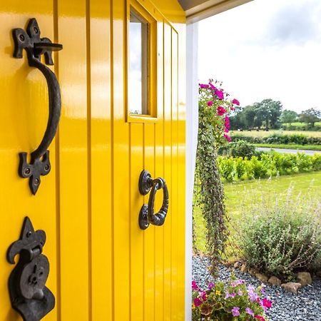 Katie's Cottage Bellaghy Exteriör bild