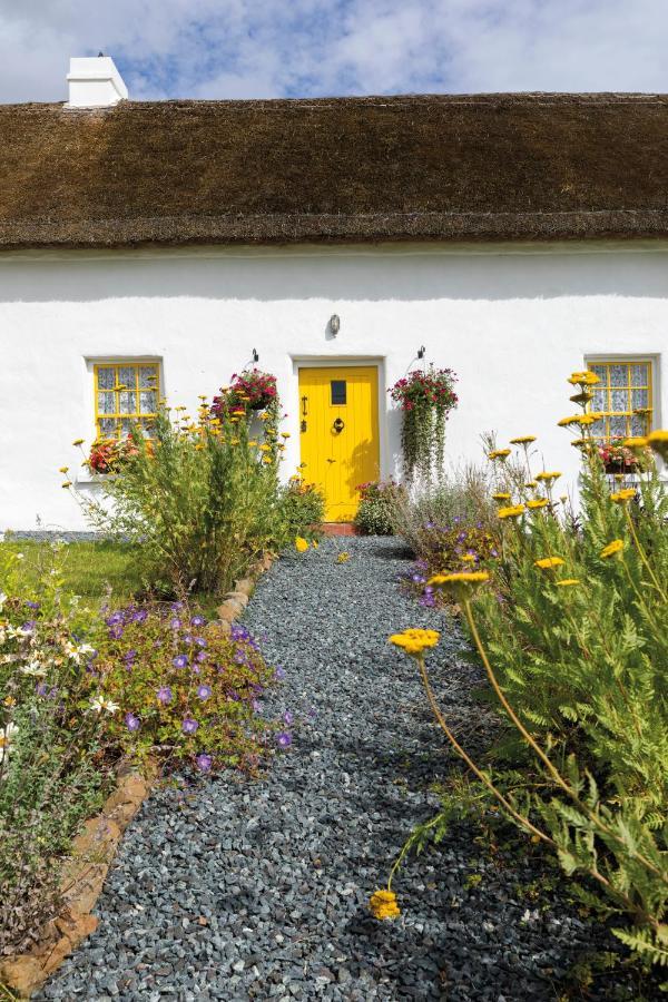 Katie's Cottage Bellaghy Exteriör bild