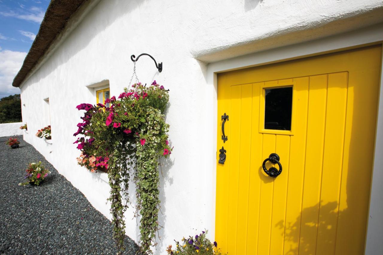 Katie's Cottage Bellaghy Exteriör bild