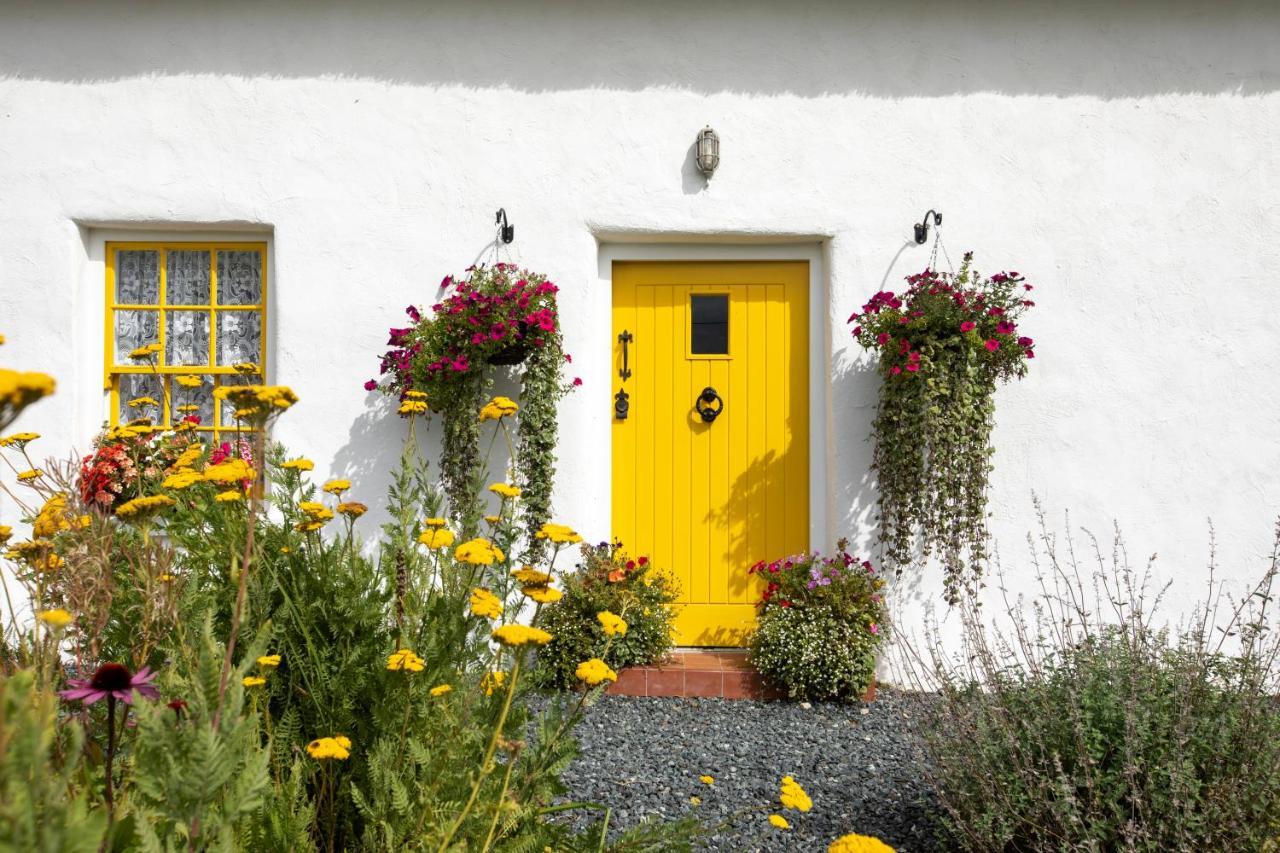 Katie's Cottage Bellaghy Exteriör bild
