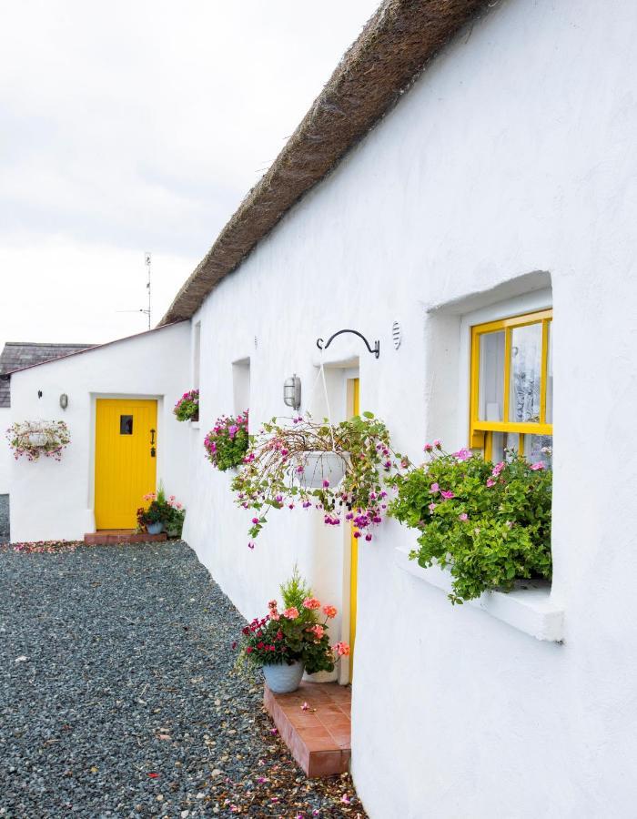 Katie's Cottage Bellaghy Exteriör bild